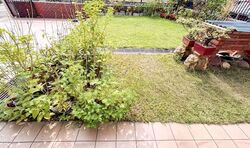 Golden Hill Estate (D19), Terrace #536069991